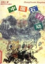 “中国石”行动 1997 PDF电子版封面 7503308168 吴恭让著