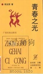 青春之光（1992 PDF版）