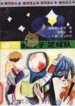 “南方的孩子”足球队 1988 PDF电子版封面 7219005768 (阿根廷)荣凯著;段若川译