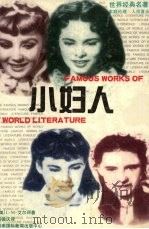 小妇人 1997 PDF电子版封面 7806094318 (美)露·梅·艾尔珂著
