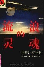 流浪的灵魂 1995 PDF电子版封面 7800399419 杜正春著
