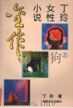 丁玲女性小说金作 上 1995 PDF电子版封面 7540414472 丁玲著;晨光选编