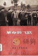 革命的飞跃（1965 PDF版）