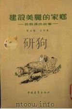 建设美丽的家乡 吕根泽的故事 1955 PDF电子版封面 石文松,王石著