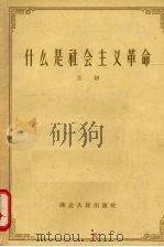 什么是社会主义革命 1957 PDF电子版封面 T3106·60 王初著