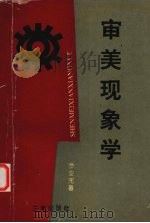 审美现象学 1995 PDF电子版封面 7805468818 罗安宪著