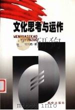 文化思考与运作（1996 PDF版）