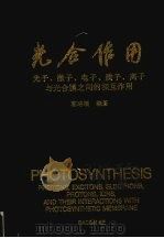 光合作用  光子、激子、电子、质子、离子、与光合膜之间的相互作用（1991 PDF版）