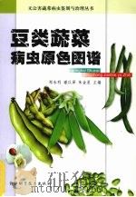 信息学概论 1985 PDF电子版封面 13196·202 (苏)舍尔比茨基著;刘克译