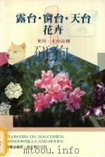 露台．窗台．天台花卉  1  东向、北向品种（1989 PDF版）