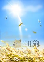世界贸易组织建议的新课题及发展中国家的利益（ PDF版）