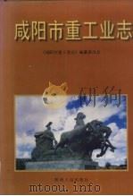 咸阳市重工业志 1999 PDF电子版封面 7224051853 王鹏超,王小林主编;咸阳市重工业编纂委员会编