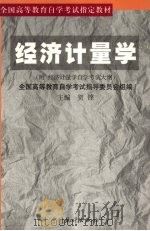 经济计量学（1999 PDF版）