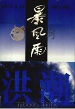 暴风雨  下  洪潮（1997 PDF版）