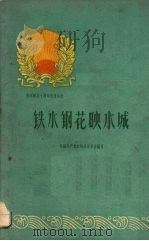 铁水钢花映水城 1960 PDF电子版封面 3115·132 中国共产党水城县委员会编写