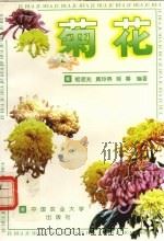 菊花（1999 PDF版）