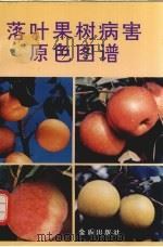 落叶果树病害原色图谱（1994 PDF版）