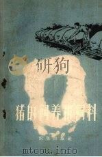 猪的饲养和饲料  第1辑（1960 PDF版）