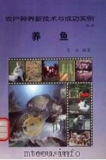 养鱼（1998 PDF版）