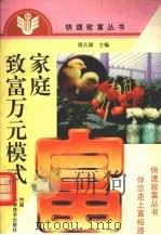家庭致富万元模式（1998 PDF版）
