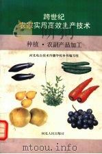 跨世纪农家实用高效生产技术  种植·农副产品加工（1997 PDF版）