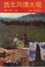 西北风情大观 1990 PDF电子版封面 7224010790 刘枫,钱中立主编