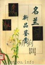 名兰新品鉴赏（1994 PDF版）