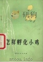 怎样孵化小鸡（1984 PDF版）