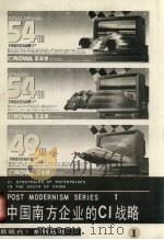 中国南方企业的CI战略 1994 PDF电子版封面 7535606865 后现代研究所编