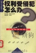 经济权利的维护 1999 PDF电子版封面 7810473689 王跃庆本册主编