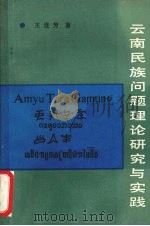 云南民族问题理论研究与实践 1986 PDF电子版封面 17184·45 王连芳著
