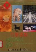 行旅觅踪 1996 PDF电子版封面 7537615136 岳文强著