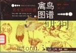 禽鸟图谱（1992 PDF版）