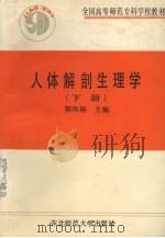 人体解剖生理学 下 1991 PDF电子版封面 7560205208 程凤翔主编