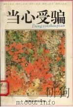 当心受骗（1994 PDF版）