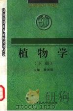 植物学  下  第2版（1998 PDF版）