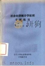 社会经济统计学原理千题练习（ PDF版）