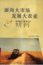 面向大市场发展大农业 乡镇党委书记论农业 1995 PDF电子版封面 7800762173 路绍昌主编