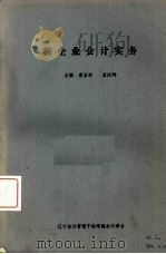新企业会计实务（ PDF版）