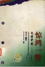 惊鸿一瞥  文学中国  1949-1999（1999 PDF版）