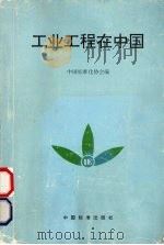 工业工程在中国 1994 PDF电子版封面 7506609630 中国标准化协会编