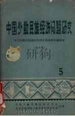 中国少数民族经济问题研究  关于少数民族地区经济发展战略问题探索  论文集  5（ PDF版）