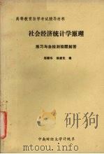 社会经济统计学原理：练习与自检测验题解答（ PDF版）
