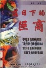 落日下的巨商 1999 PDF电子版封面 7204044711 王远编著