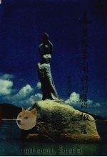 来自改革开放前沿的报告 1994 PDF电子版封面 7501125228 陶光元著