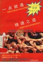 《一点就通》《精通之道》股票大胆下注（1992 PDF版）
