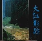 大江影踪   1994  PDF电子版封面  7531410419  沈延太著 