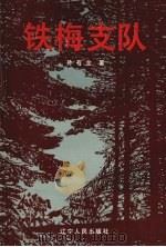 铁梅支队 1998 PDF电子版封面 7205042542 孙永泉著