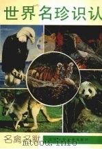 世界名珍识认 名禽名兽 1991 PDF电子版封面 7531508443 郝勇编