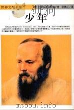 少年 1994 PDF电子版封面 9577090524 (俄)杜斯妥也夫斯基著;耿济之译